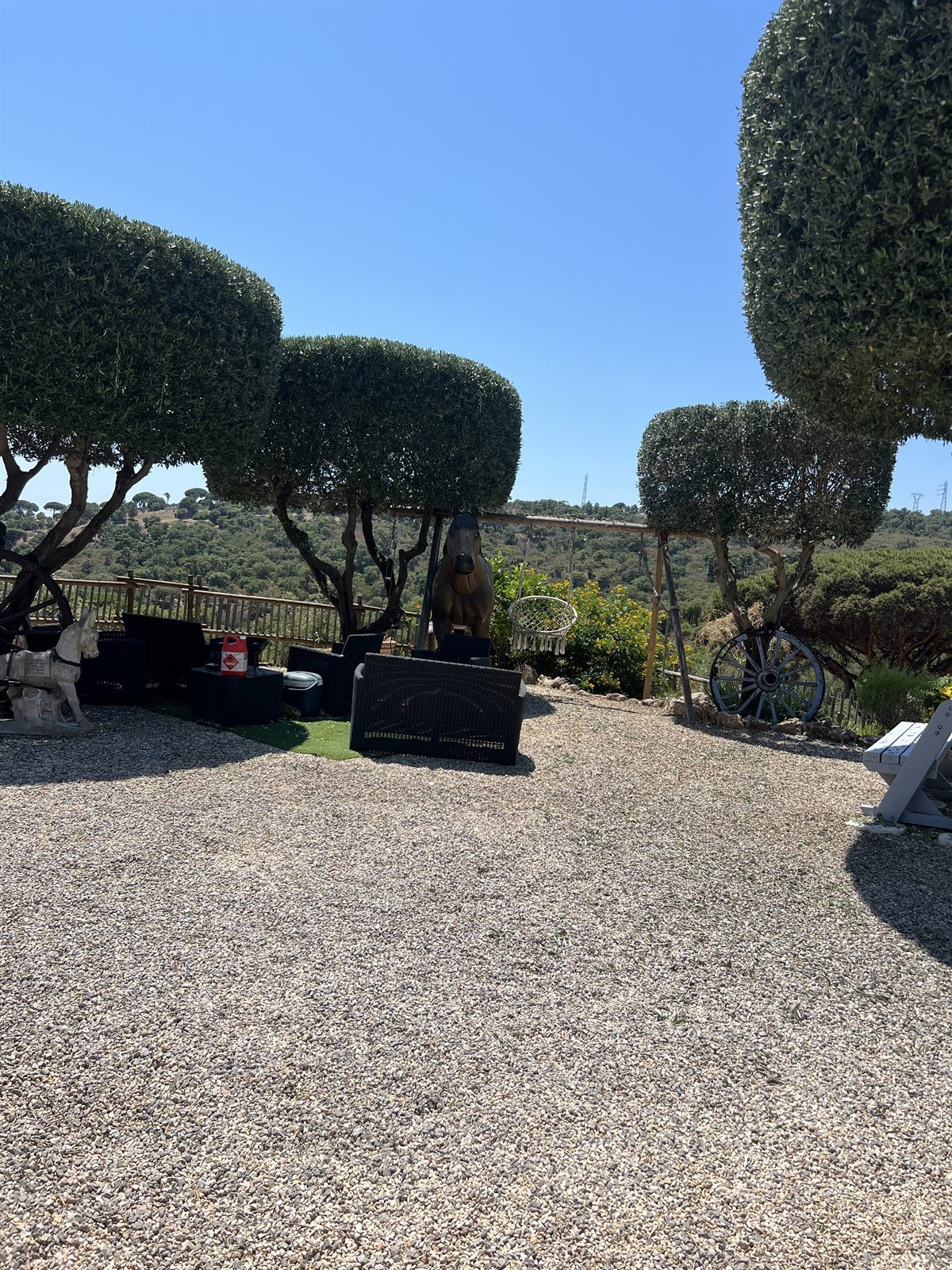 Taille en plateau d'oliviers — photo 1