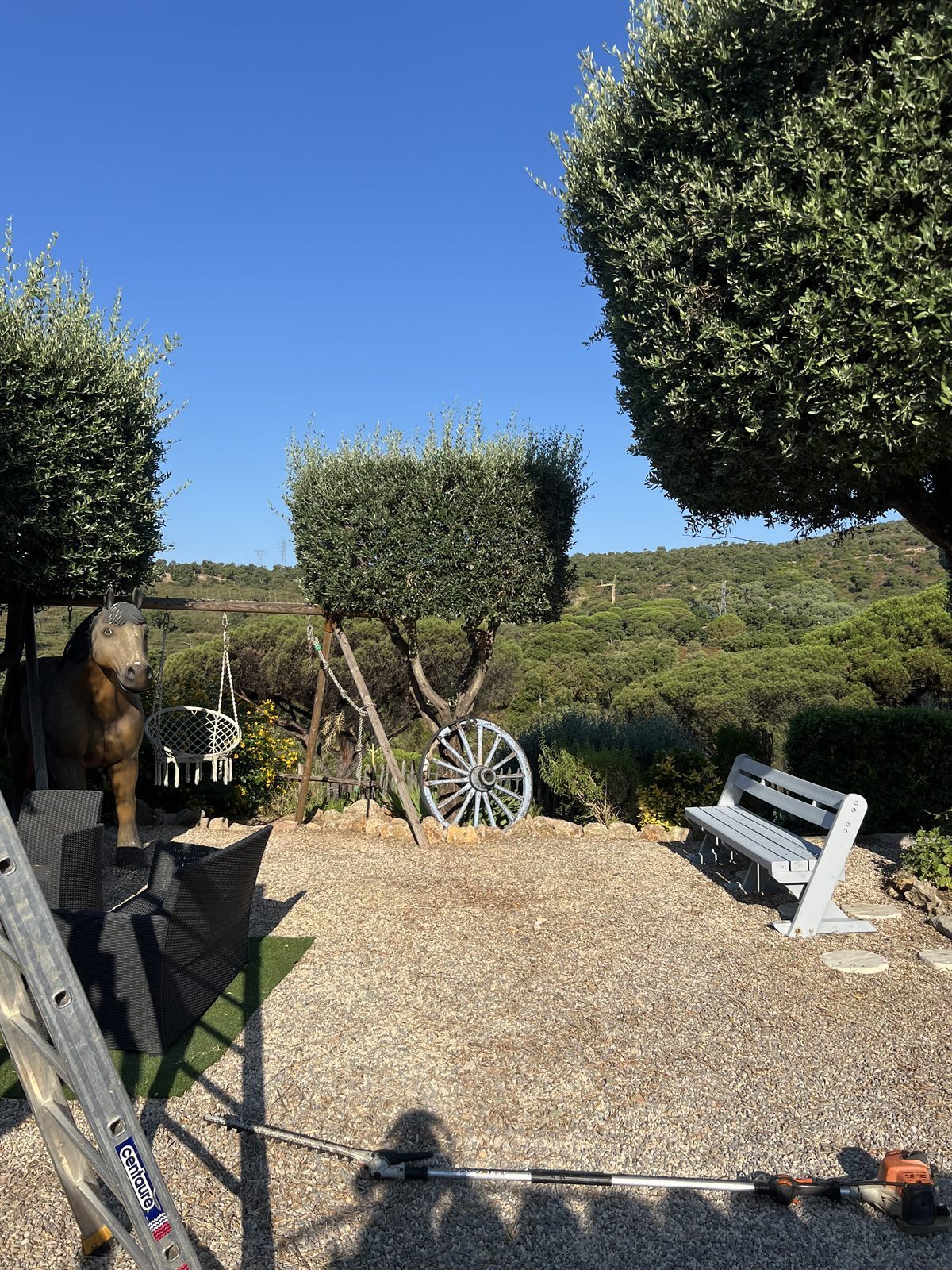 Taille en plateau d'oliviers — Avant